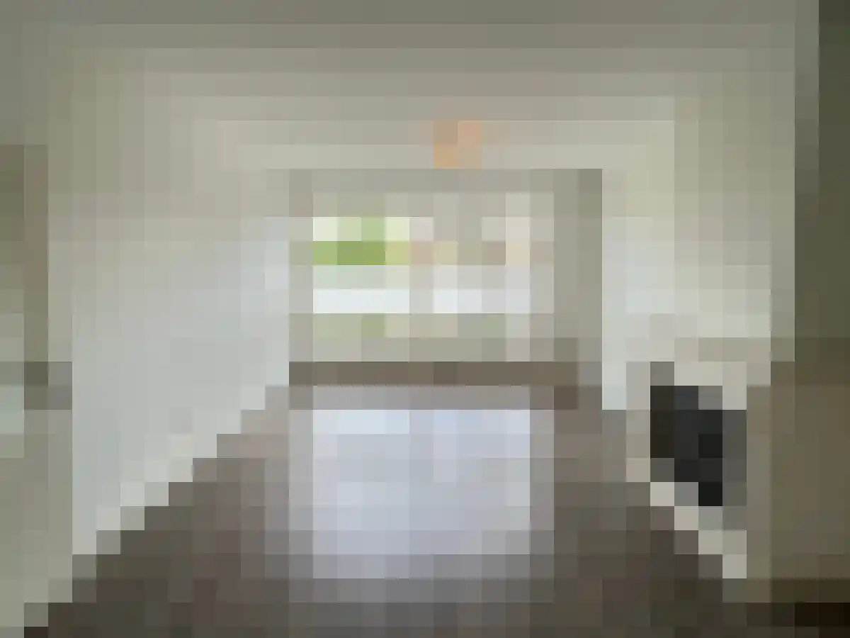 Celsiusstraat 62 's-Hertogenbosch thumbnail 4