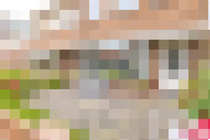 Celsiusstraat 64 IJmuiden thumbnail 6