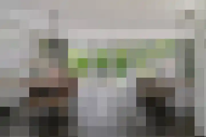 Celsiusstraat 7 Terneuzen thumbnail 12