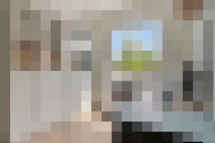 Celsiusstraat 7 Terneuzen thumbnail 24
