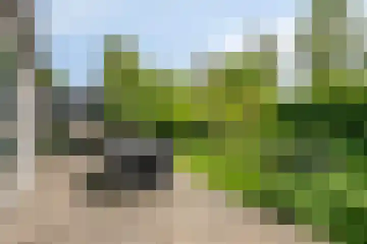Celsiusstraat 7 Terneuzen thumbnail 33