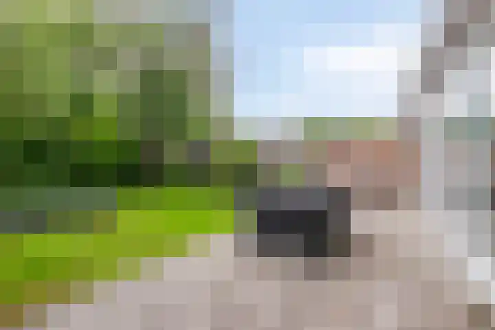 Celsiusstraat 7 Terneuzen thumbnail 34