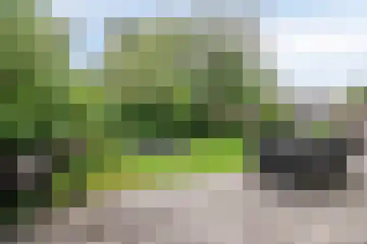 Celsiusstraat 7 Terneuzen thumbnail 35