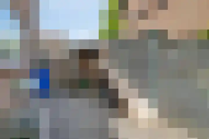Celsiusstraat 7 Terneuzen thumbnail 37