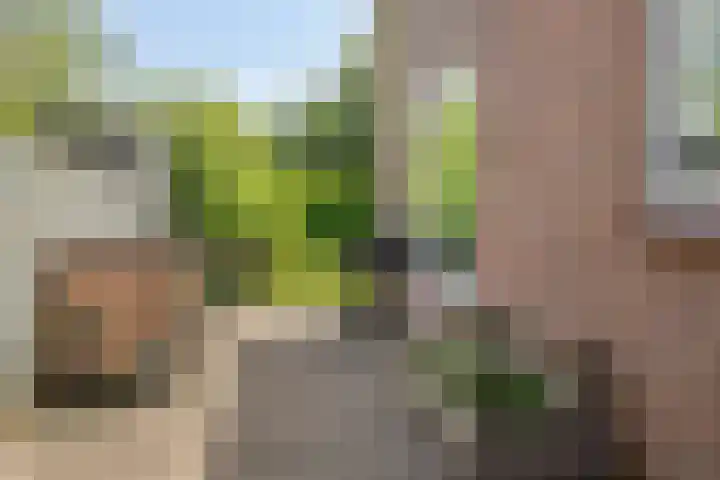 Celsiusstraat 7 Terneuzen thumbnail 38
