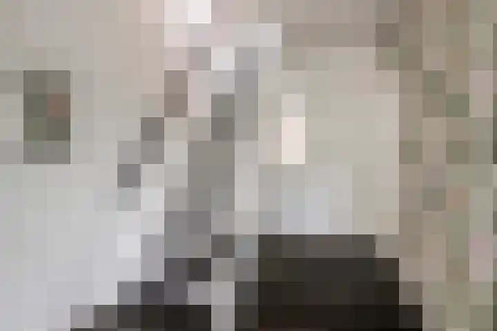 Celsiusstraat 7 Terneuzen thumbnail 8
