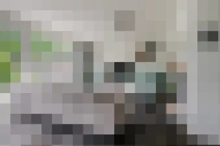 Celsiusstraat 7 Terneuzen thumbnail 9