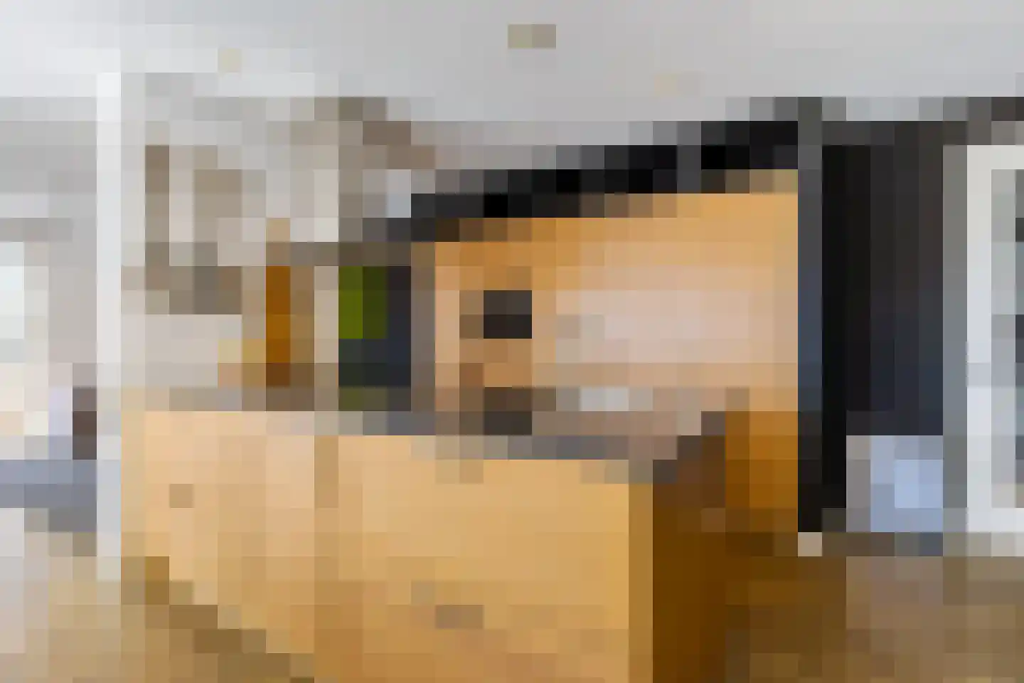 Celsiusweg 8 Joure thumbnail 10