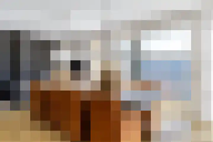 Celsiusweg 8 Joure thumbnail 11