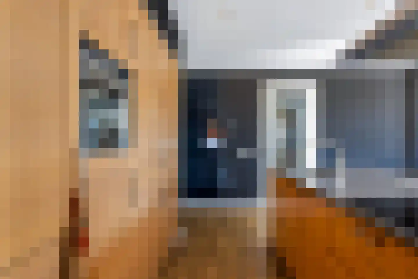 Celsiusweg 8 Joure thumbnail 13