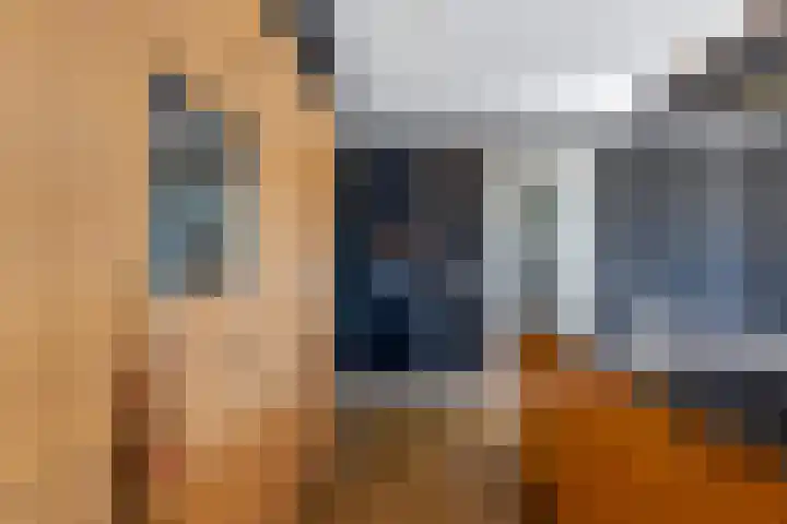 Celsiusweg 8 Joure thumbnail 13