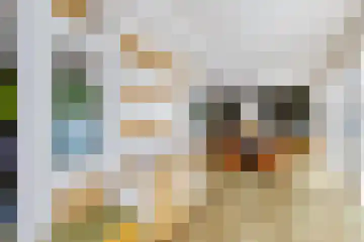 Celsiusweg 8 Joure thumbnail 16