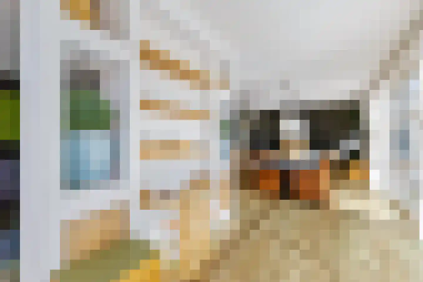 Celsiusweg 8 Joure thumbnail 16