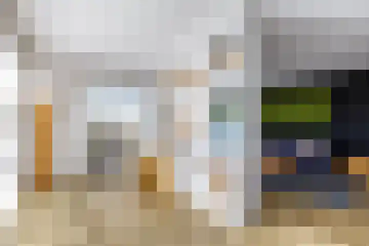 Celsiusweg 8 Joure thumbnail 17