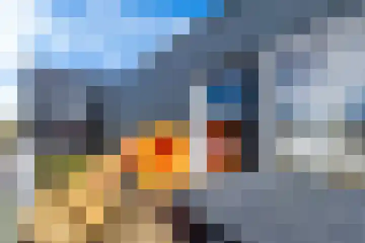 Celsiusweg 8 Joure thumbnail 18