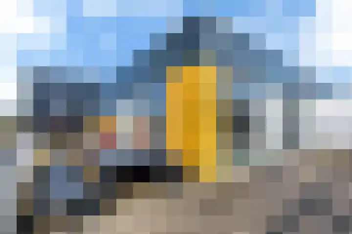 Celsiusweg 8 Joure thumbnail 19