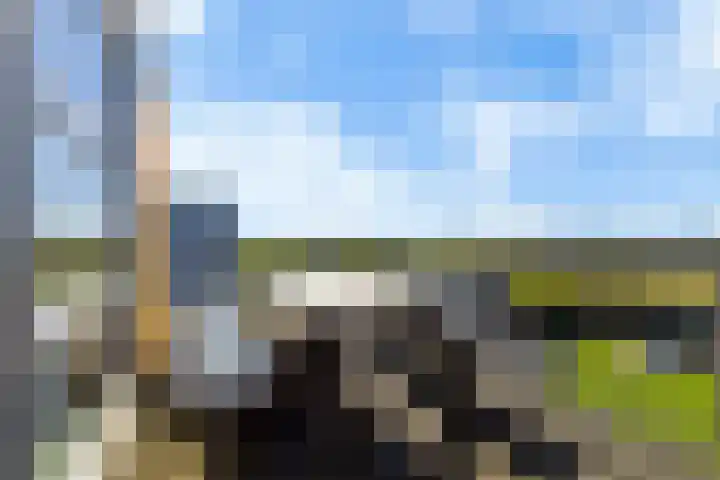 Celsiusweg 8 Joure thumbnail 22