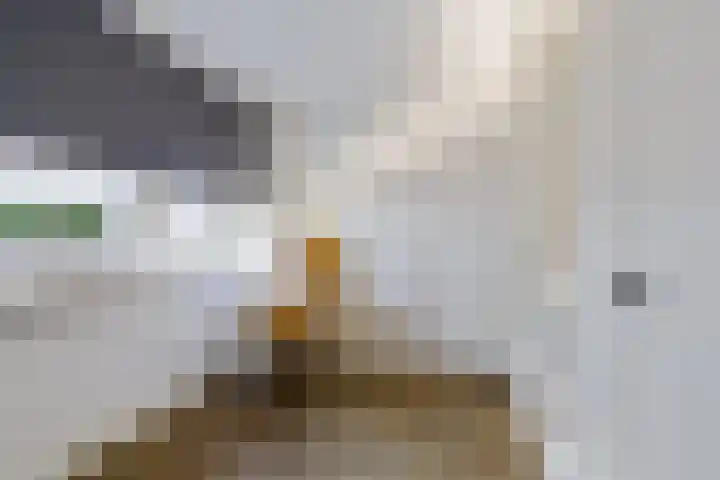 Celsiusweg 8 Joure thumbnail 27