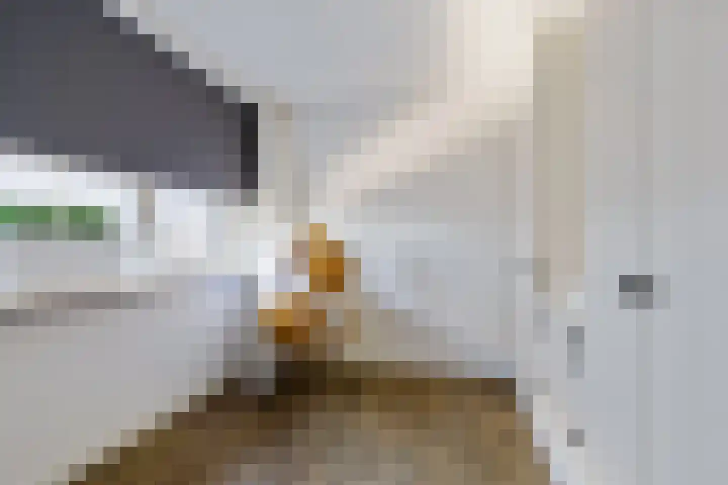 Celsiusweg 8 Joure thumbnail 27