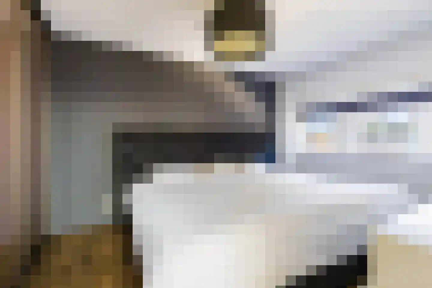 Celsiusweg 8 Joure thumbnail 30