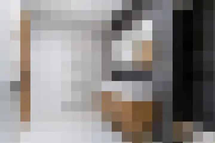 Celsiusweg 8 Joure thumbnail 32