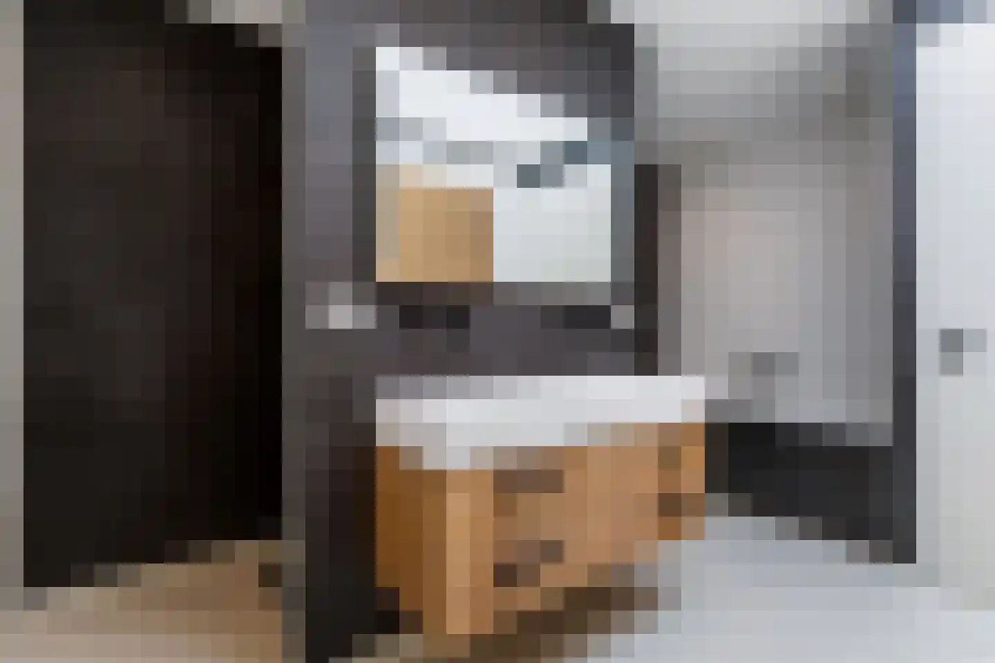Celsiusweg 8 Joure thumbnail 33