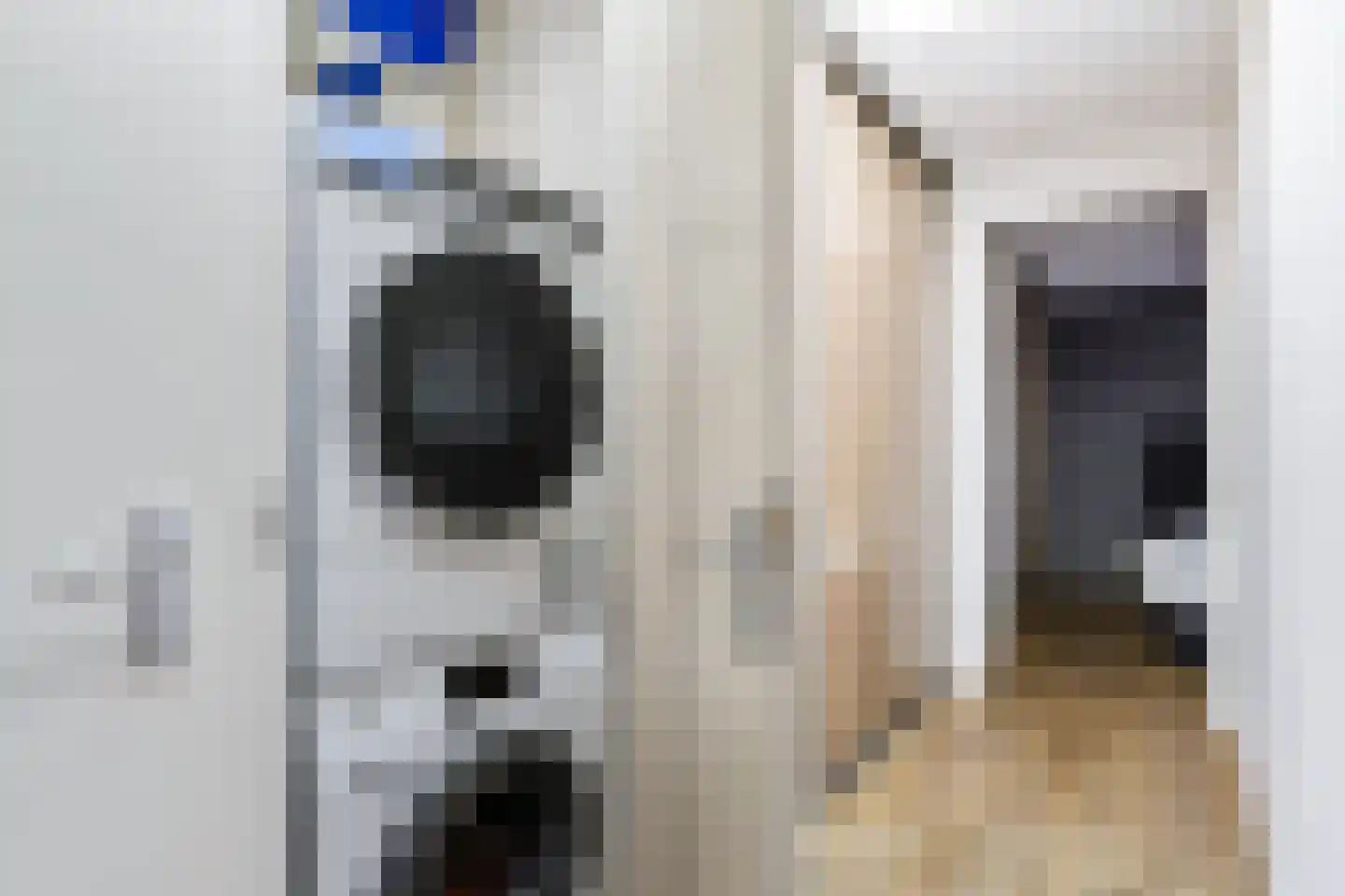 Celsiusweg 8 Joure thumbnail 38