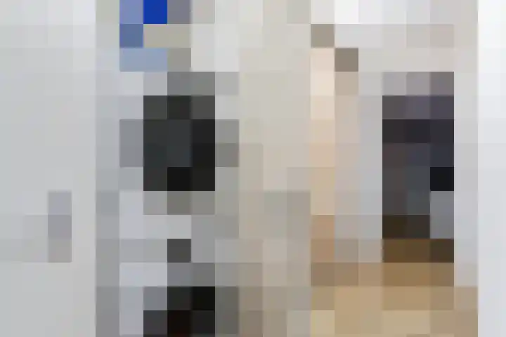Celsiusweg 8 Joure thumbnail 38