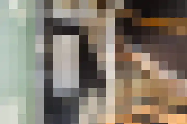 Celsiusweg 8 Joure thumbnail 4