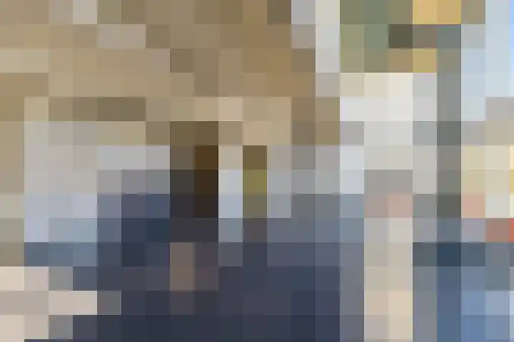 Celsiusweg 8 Joure thumbnail 44