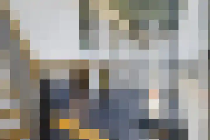 Celsiusweg 8 Joure thumbnail 45