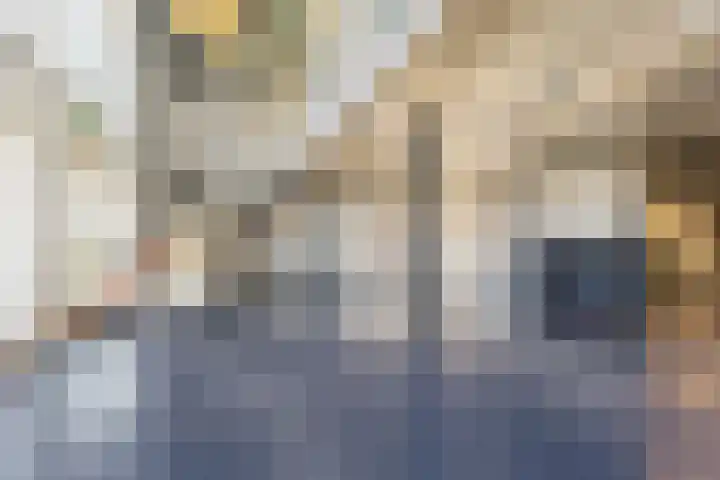Celsiusweg 8 Joure thumbnail 46