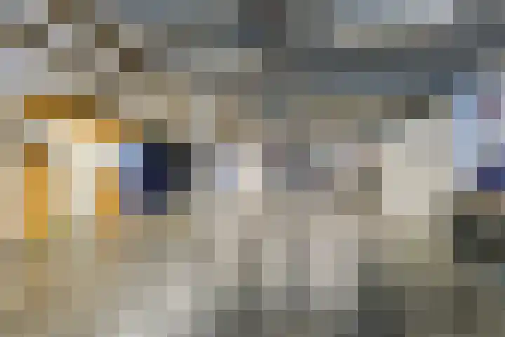 Celsiusweg 8 Joure thumbnail 48