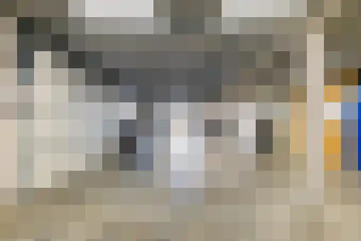 Celsiusweg 8 Joure thumbnail 49