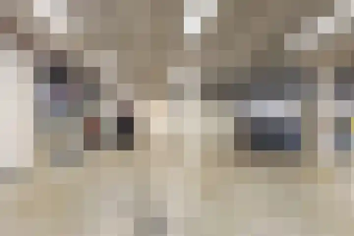 Celsiusweg 8 Joure thumbnail 50