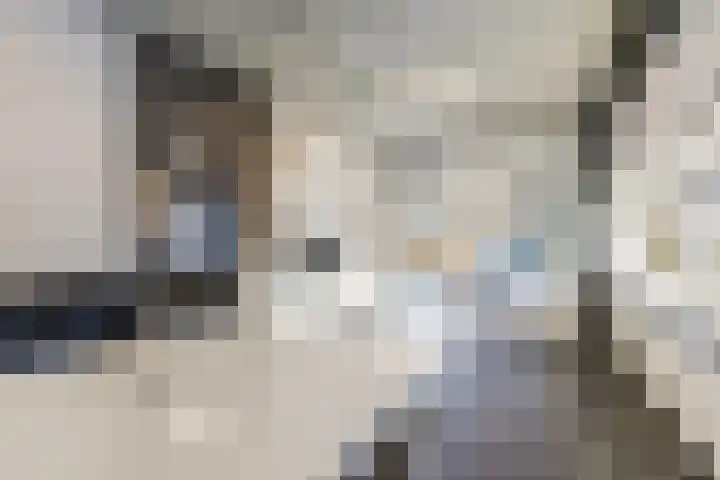 Celsiusweg 8 Joure thumbnail 55
