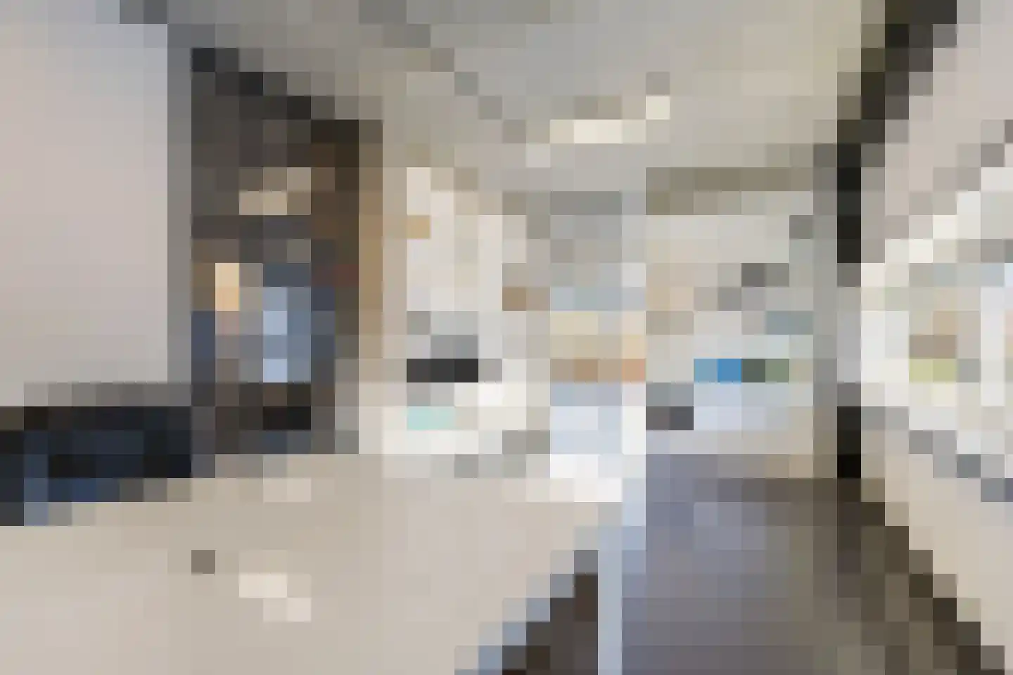 Celsiusweg 8 Joure thumbnail 55