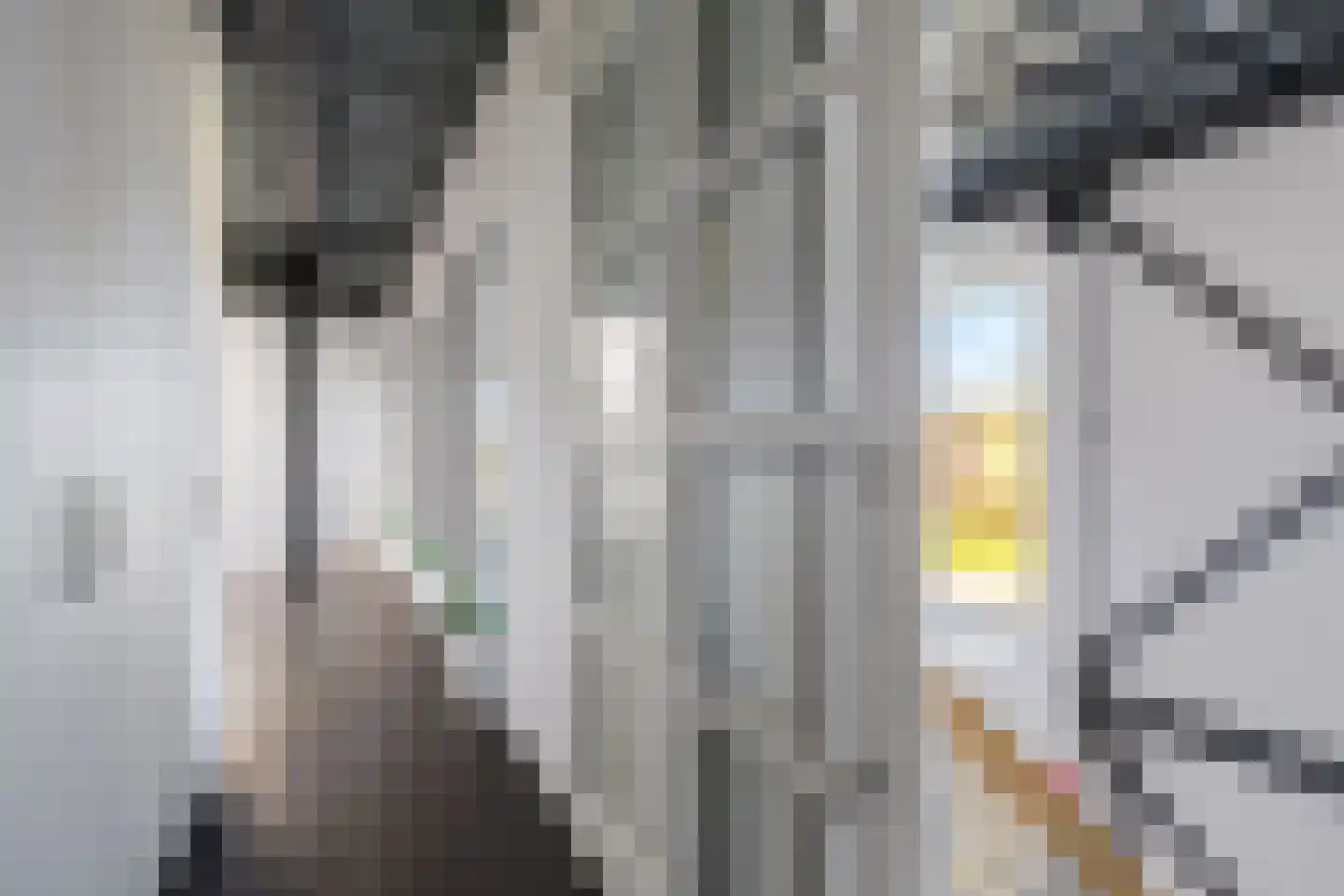 Celsiusweg 8 Joure thumbnail 60