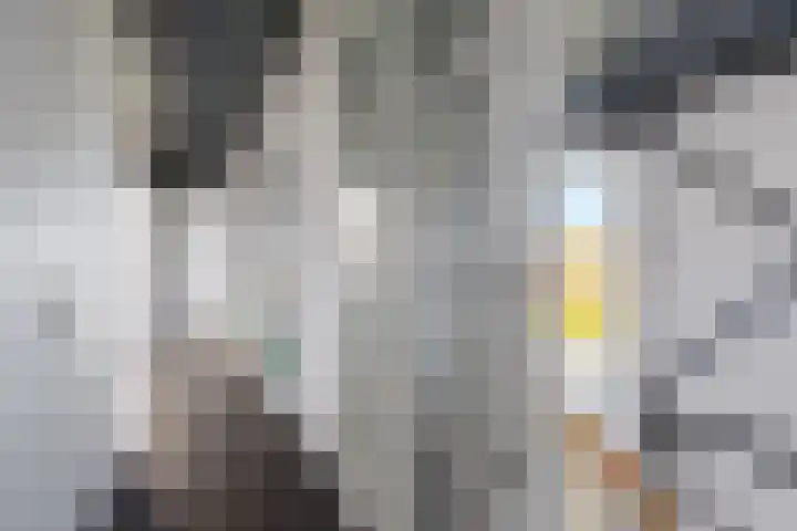 Celsiusweg 8 Joure thumbnail 60