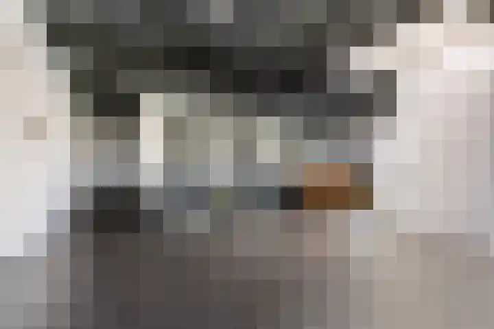 Celsiusweg 8 Joure thumbnail 61
