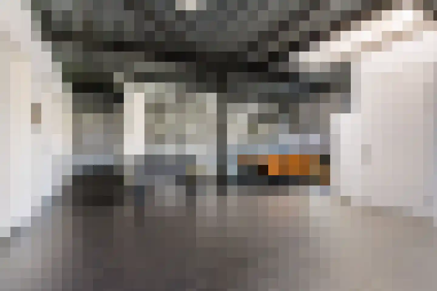 Celsiusweg 8 Joure thumbnail 61