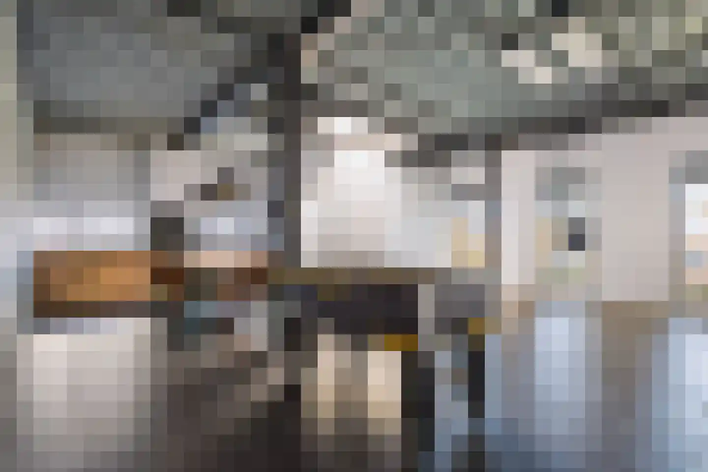 Celsiusweg 8 Joure thumbnail 62