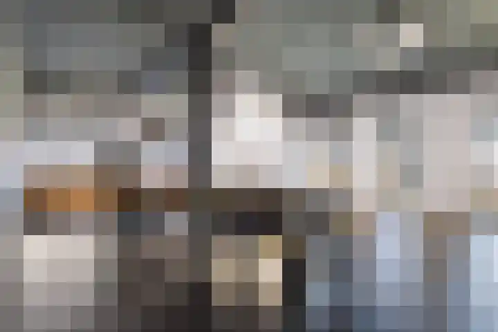 Celsiusweg 8 Joure thumbnail 62