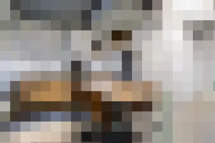 Celsiusweg 8 Joure thumbnail 63