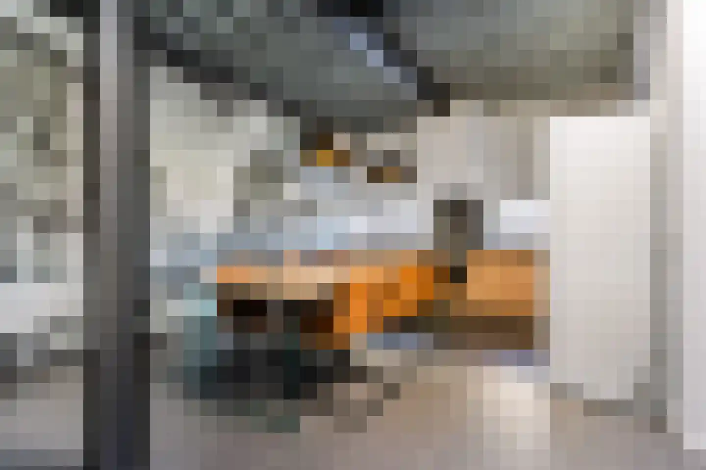 Celsiusweg 8 Joure thumbnail 64