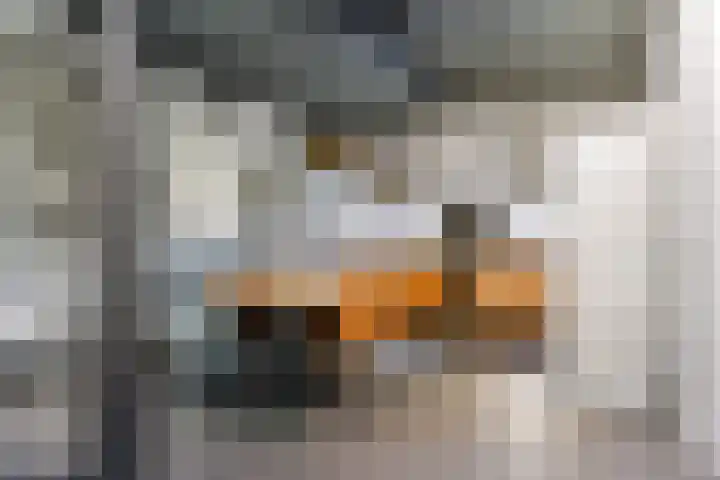 Celsiusweg 8 Joure thumbnail 64
