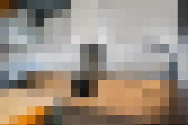 Celsiusweg 8 Joure thumbnail 65