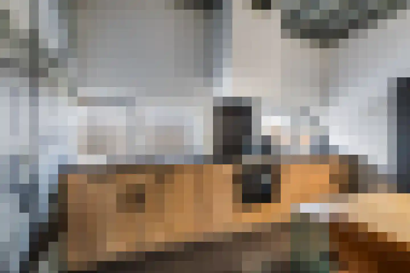 Celsiusweg 8 Joure thumbnail 66