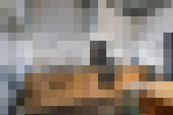 Celsiusweg 8 Joure thumbnail 66