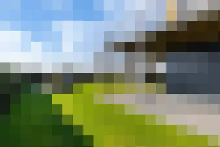 Celsiusweg 8 Joure thumbnail 72